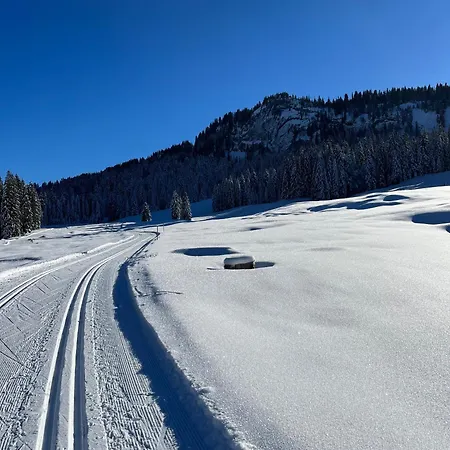 Apartamento Sonnes Andelsbuch