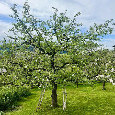 Sonnes Apartman Andelsbuch