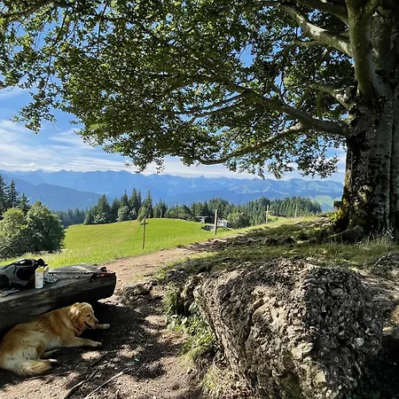 Sonnes Appartement Andelsbuch