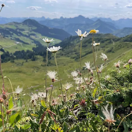 Apartamento Sonnes Andelsbuch