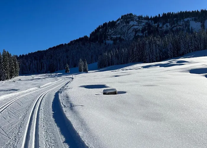 Apartment Sonnes Andelsbuch