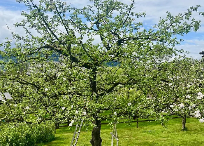 Sonnes Apartment Andelsbuch